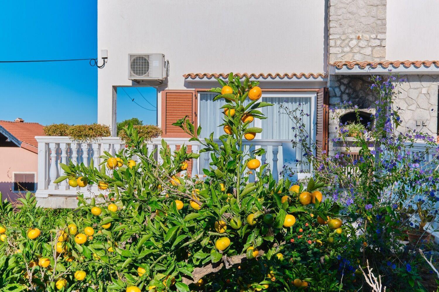 Apartment Luce Mali Losinj Luaran gambar